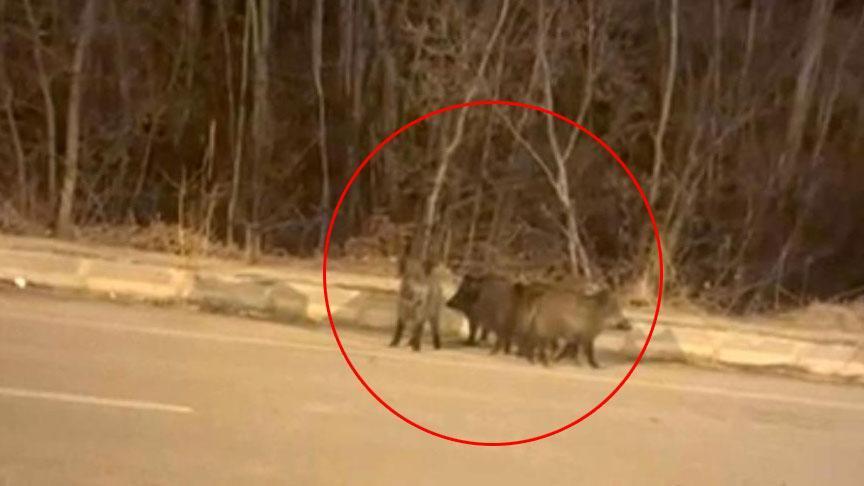 Kentin her yerini sardılar! Vatandaşlar tedirgin: Tedbirli olmalıyız