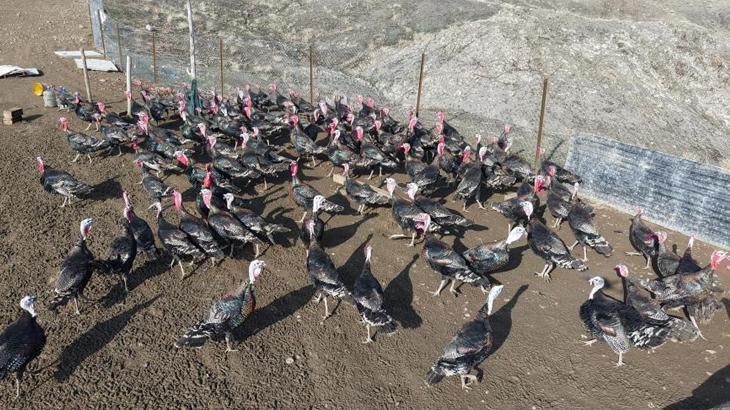 Almanya'dan memleketine dönüp kendi işinin patronu oldu: 'Çevre illere de açılmak istiyoruz'