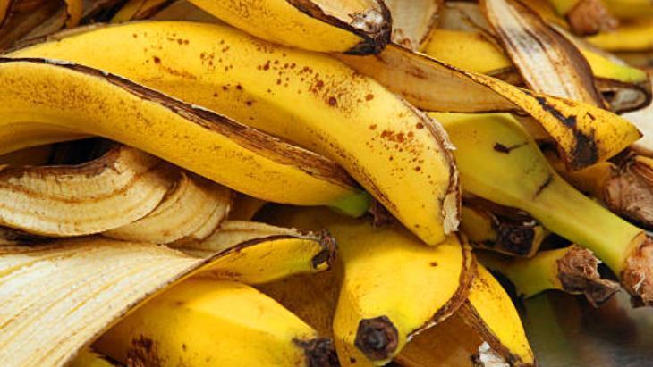 Toprak, ahşap fark etmiyor... Kabuğunu çöpe atmayın! Her alanda faydalıymış