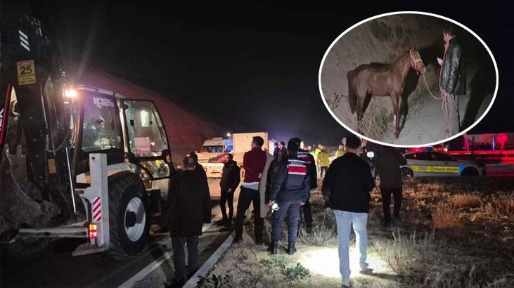 Milyonluk taylar çiftlikten kaçtı! 8'i öldü, bazıları ise kayıp