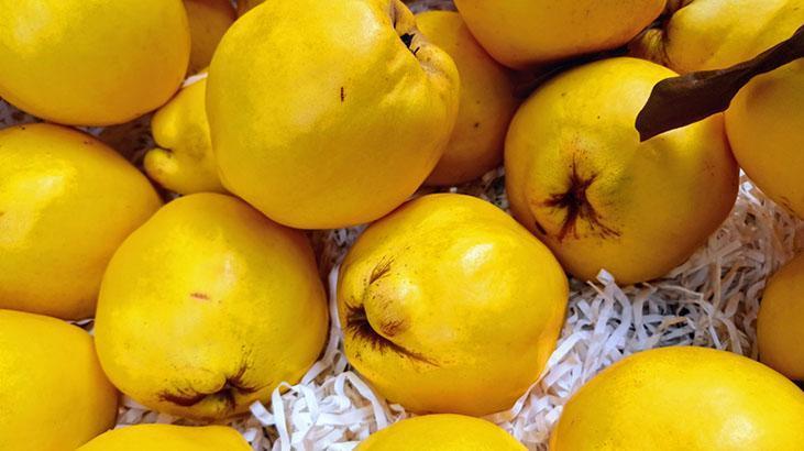 Kestanesi bol, içi sapsarı... Ayvanın iyi olduğu bu detaydan belli oluyor