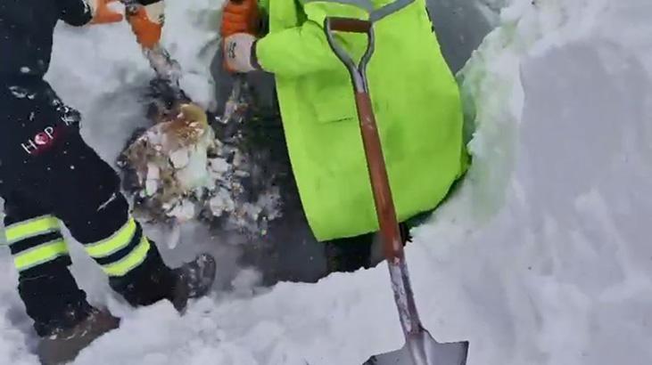 Artvin'de çığ altında kalan 2 kişiyi arama çalışmaları ikinci günde sürüyor