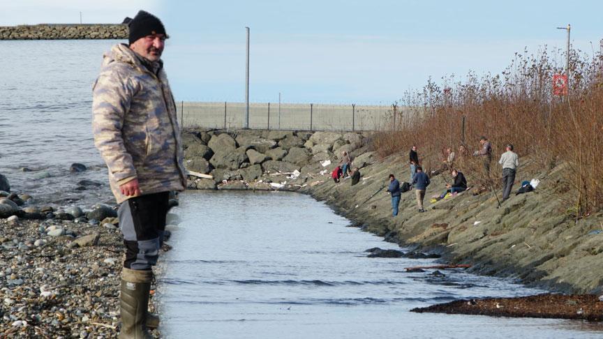 Onlarca kişi sahile koştu! 'Haberi duyduk, biz de geldik'