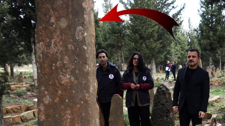 Boyları 4 metreyi buluyor: Türk milletinin tapu senedi