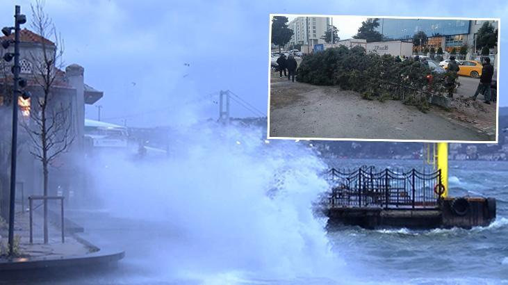 CANLI AKTARIM İstanbul'u şiddetli fırtına vurdu: Ağaçlar devrildi, seferler iptal