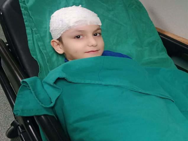 Sokak köpeği dehşeti davasında emsal karar! Aileye rekor tazminat ödenecek