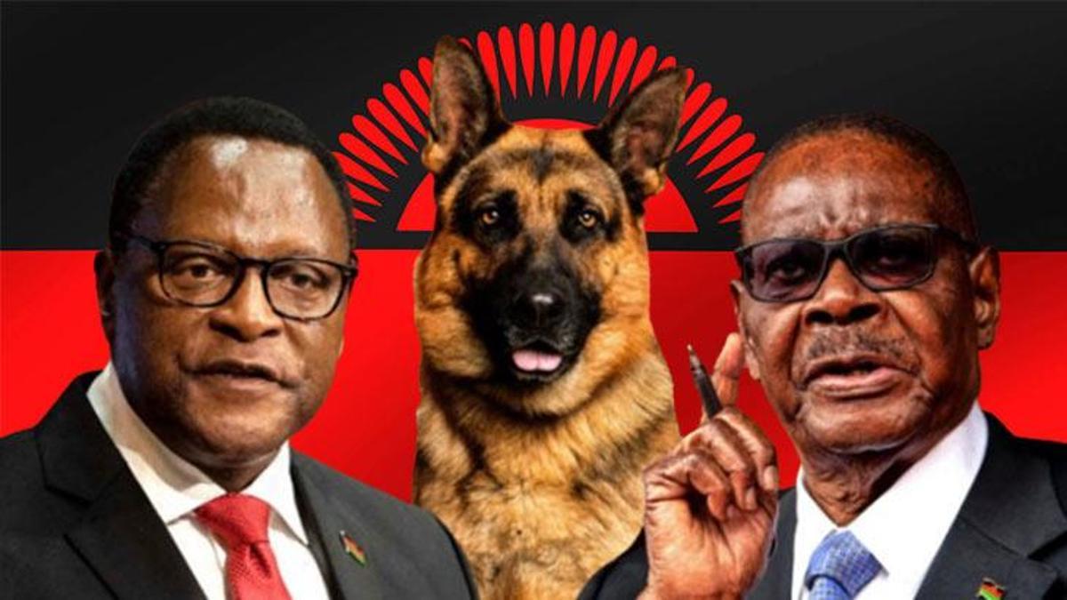 4 köpek için 80 polis! 'Kara büyü' ülkeyi karıştırdı: İki başkan, tek çıkmaz