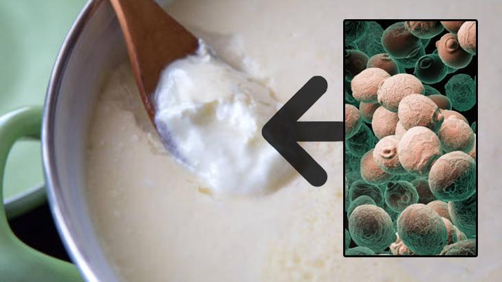 Yoğurt mayası tutmadıysa hemen deneyin! 2 saatte düzeliyor: Sünmesinin nedeniymiş