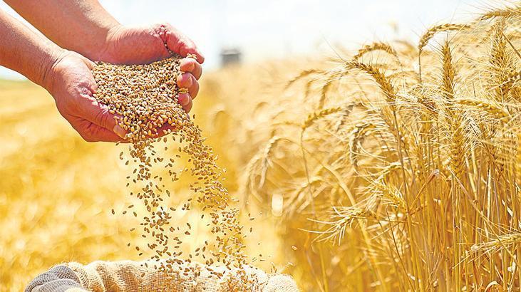 ‘İsrail’den tek bir tohum almıyoruz’