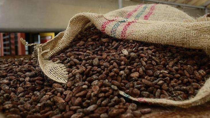 Türkiye yetiştirmediği kakaodan 1,7 milyar dolar kazandı