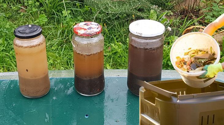 Bahar gelmeden fideleri coşturuyor! Ev yapımı gübrede hasat 2 katına çıkıyor