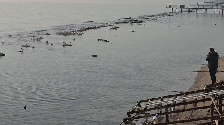 Tekirdağ'da sular çekildi, denizin dibinden çıktı!