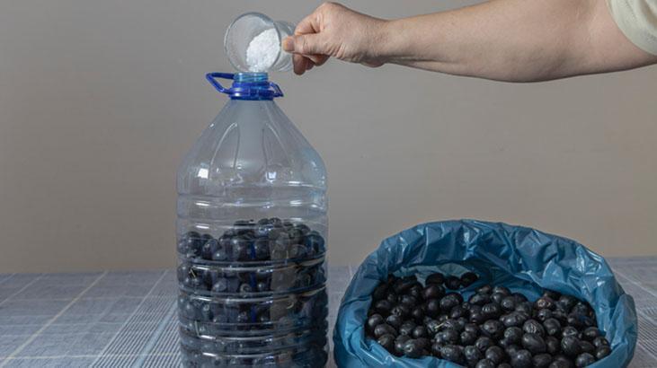 Kaya tuzu ile zeytin nasıl kurulur? Hiçbir şeye gerek yokmuş, kavanozda bekletin