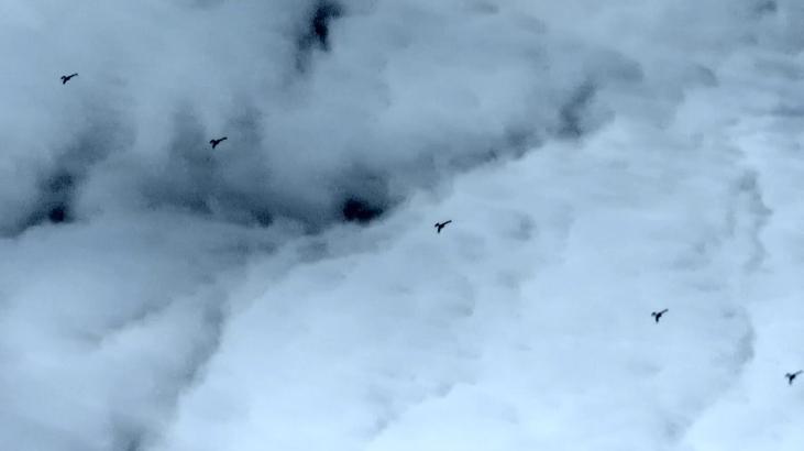 Baykar’dan yeni güç: K2 Kamikaze İHA sürü halinde uçtu