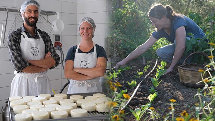 Avusturya'dan Kaz Dağları'na göç! Toprağı kazmadan üretim mümkün: 'Türkiye'de zeytin topladık ve hayatım değişti'