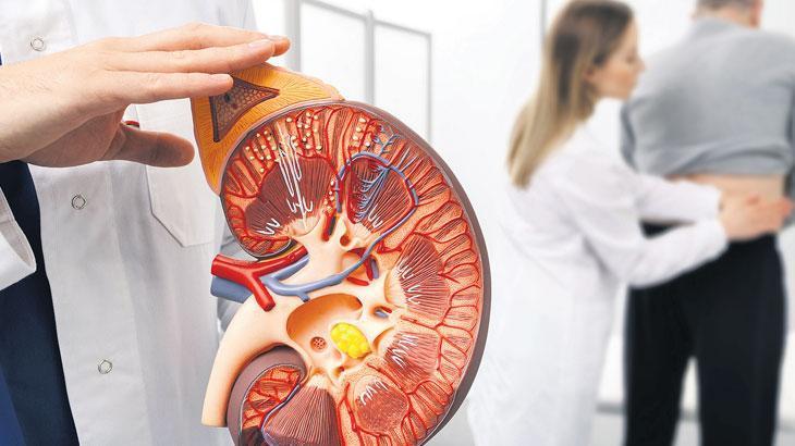 Böbrek sağlığını korumak için 8 altın kural