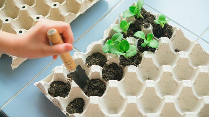 Yumurta kartonu deyip geçmeyin! Bahçıvanların gözdesi, bakın ne işe yarıyor