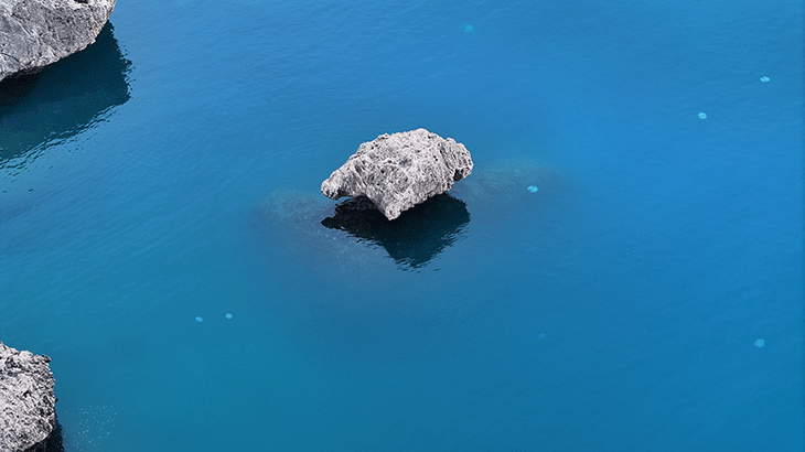 Antalya kıyılarında sürüler halinde ortaya çıktı! Vatandaşlara 'uzak durun' uyarısı