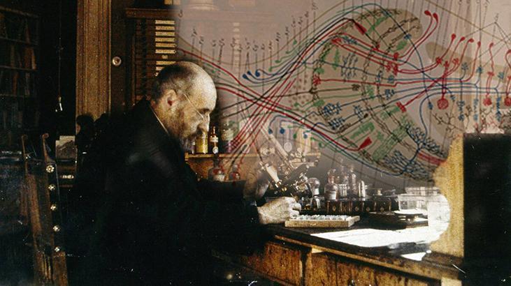 Boya kalemleriyle insan beynini keşfetti! Resim tutkusu ilham verdi, Nobel'e uzandı