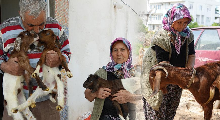 Yardım ettiği komşusu şikayet etti! Bütün mahalleyi yakan karar: Bir senelik emeği boşuna gitti