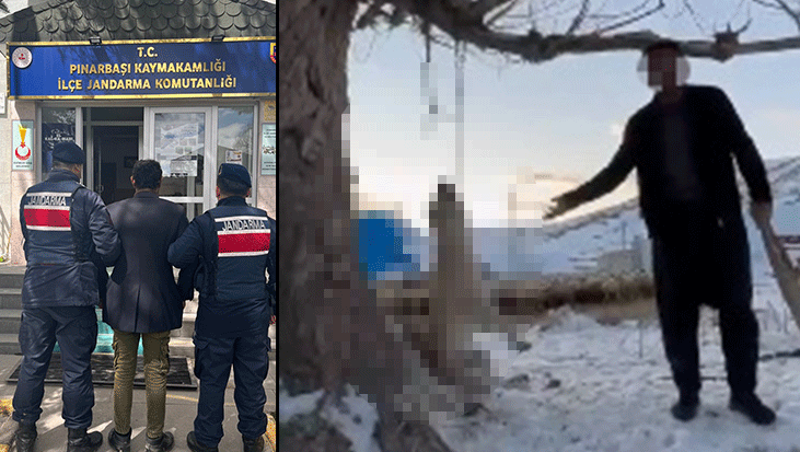 Kayseri'de akılalmaz görüntü! 'Böyle köpek mi öldürülür?'