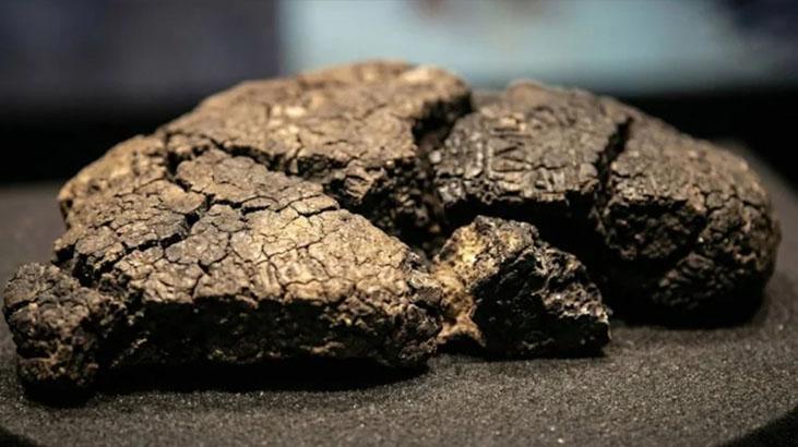 Eskişehir'deki 5 bin yıllık ekmeğin sırrı! Bu döneme aitmiş: Gernik buğdayı kullanılıyor