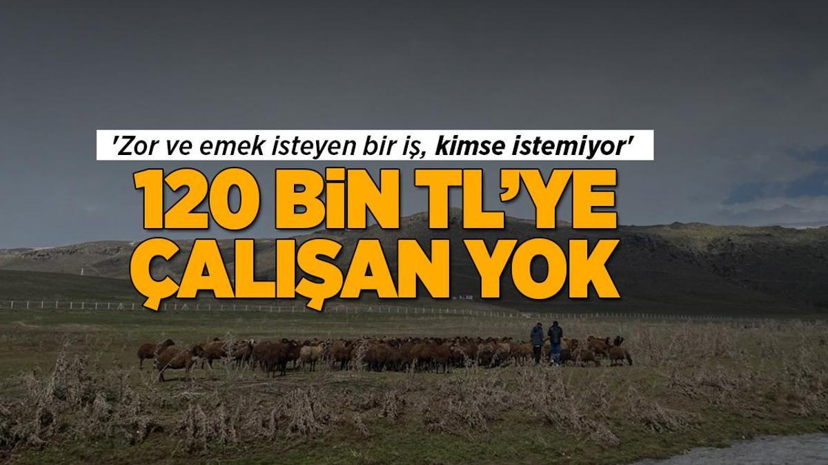 120 bin TL maaşla çalışacak eleman yok! 'Zor ve emek isteyen bir iş, kimse yapmak istemiyor'