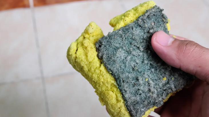 Sünger, boya, saç! Bazı insanlar neden yemek olmayan şeyleri yiyor?