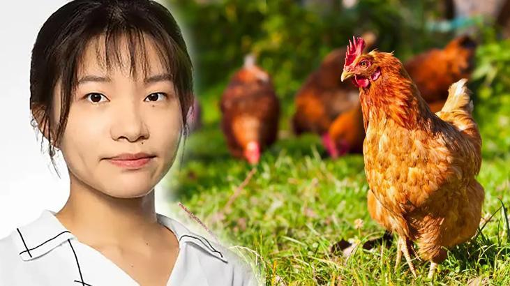 Psikoloji profesörü terapisti olarak tavuğu seçti! 'O benim duygularımı anlıyor'