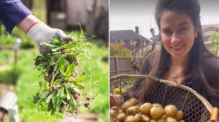 Nisan ayında diken yazın rahat edecek! Bir tane salyangoz kalmıyor