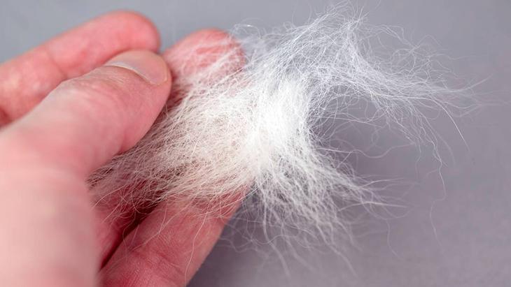 Tüy kabusu sona eriyor! Evcil hayvan sahiplerinin yüzünü güldürecek minik tüyo