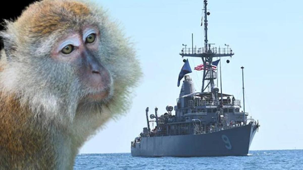 ABD askerine maymun 'saldırısı!' Hürmüz Boğazı’na giden gemide ‘beklenmedik risk’