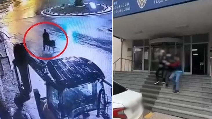 Forkliftle soydu, eşekle kaçtı! Görüntüleri gündem olmuştu; cezası belli oldu