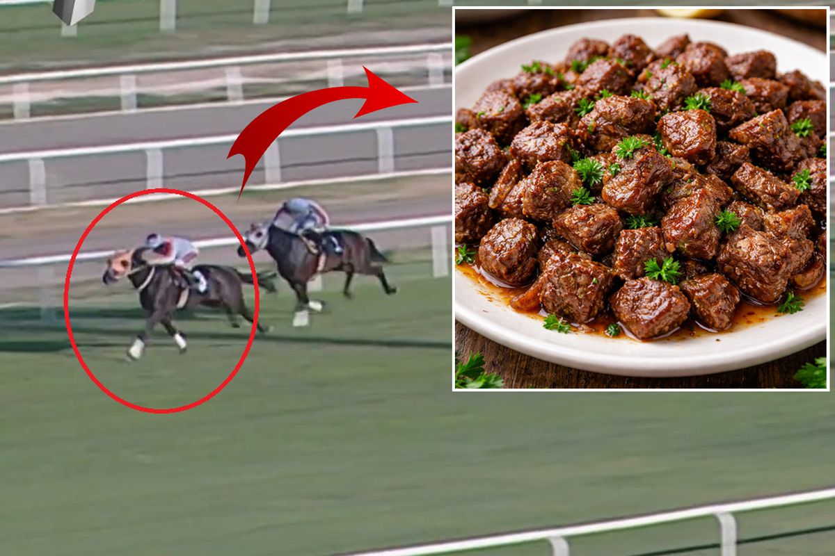 Kavurma yapılan at hipodromdan tabağa nasıl geldi? Bakın ne kadara satmışlar