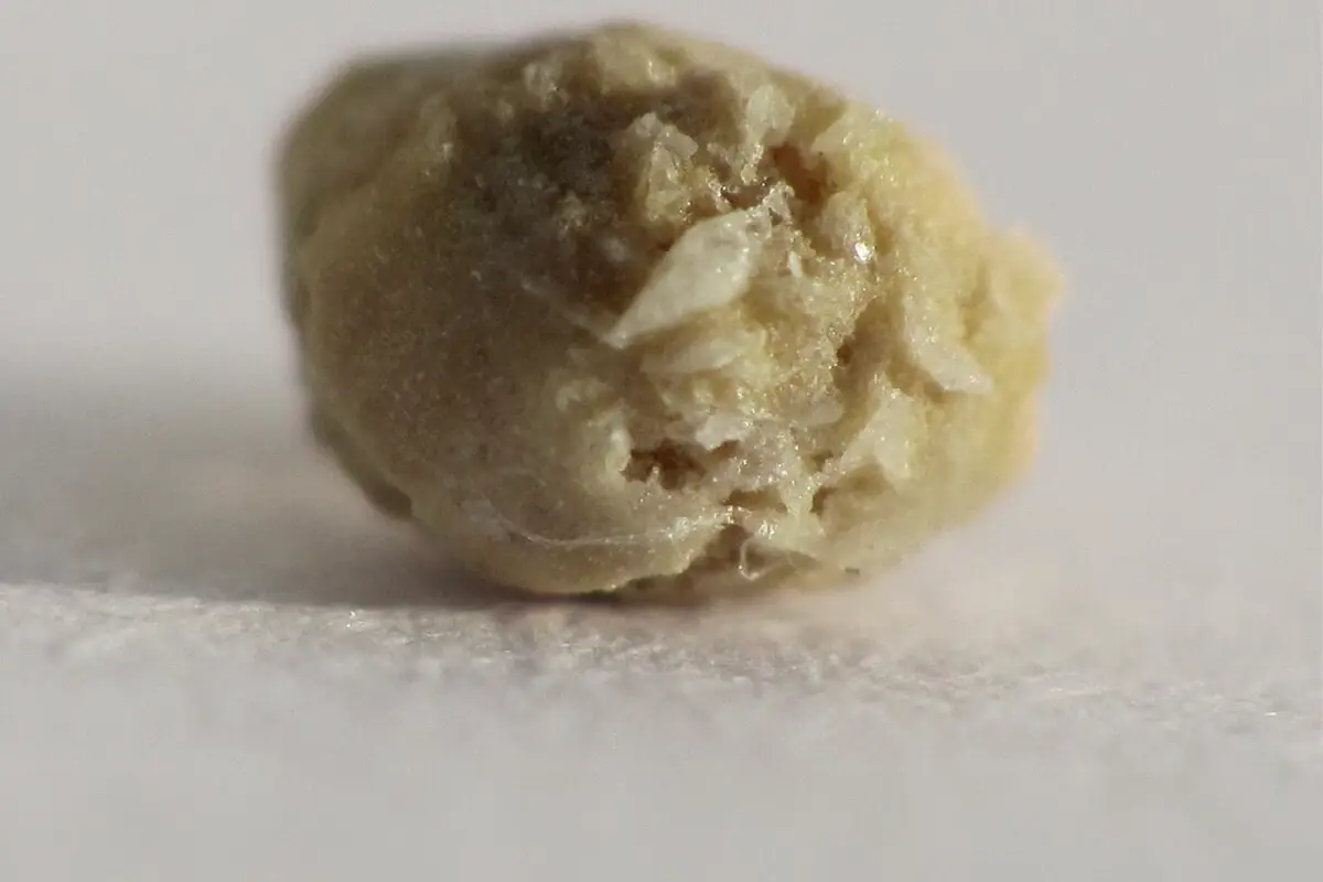 Mücevher diye çaldılar, yakından bakınca neye uğradıklarını şaşırdılar