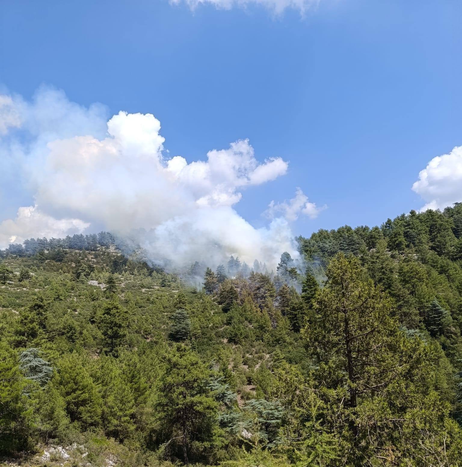 Denizli’de yıldırım düşmesi sonucu 2 ayrı noktada yangın çıktı