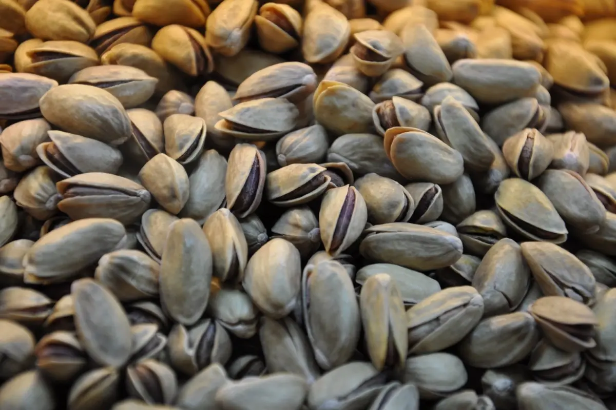 Resmi Gazete'de yayımlandı! Antep fıstığıyla ilgili önemli karar