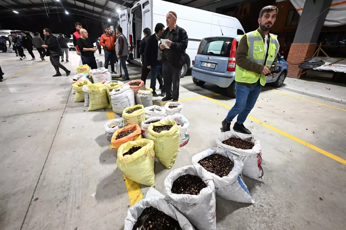 Kilosu 400 liraya satışa çıktı! Herkes bu lezzetin peşinde