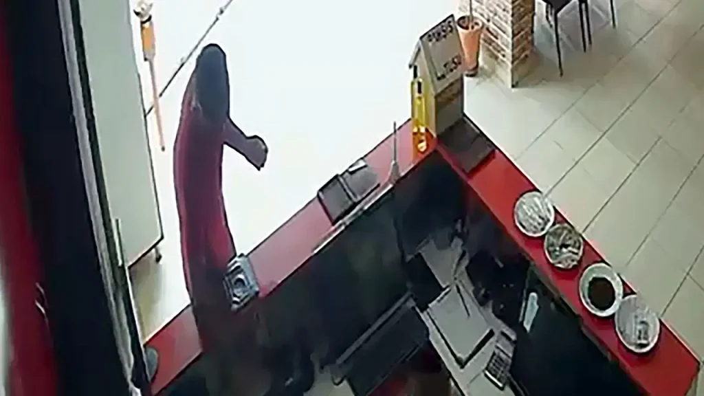 Adana’da çifte hırsızlık: Restorandan cep telefonu, camiden seyyar merdiven çaldı