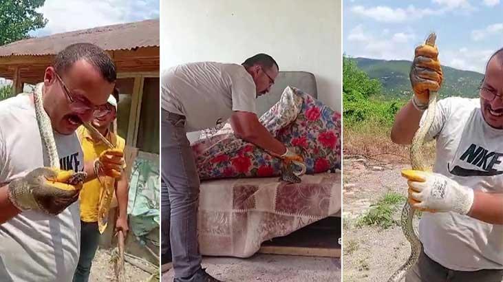 Amasya’da evde yılan paniği! Yakaladı, boynuna doladı
