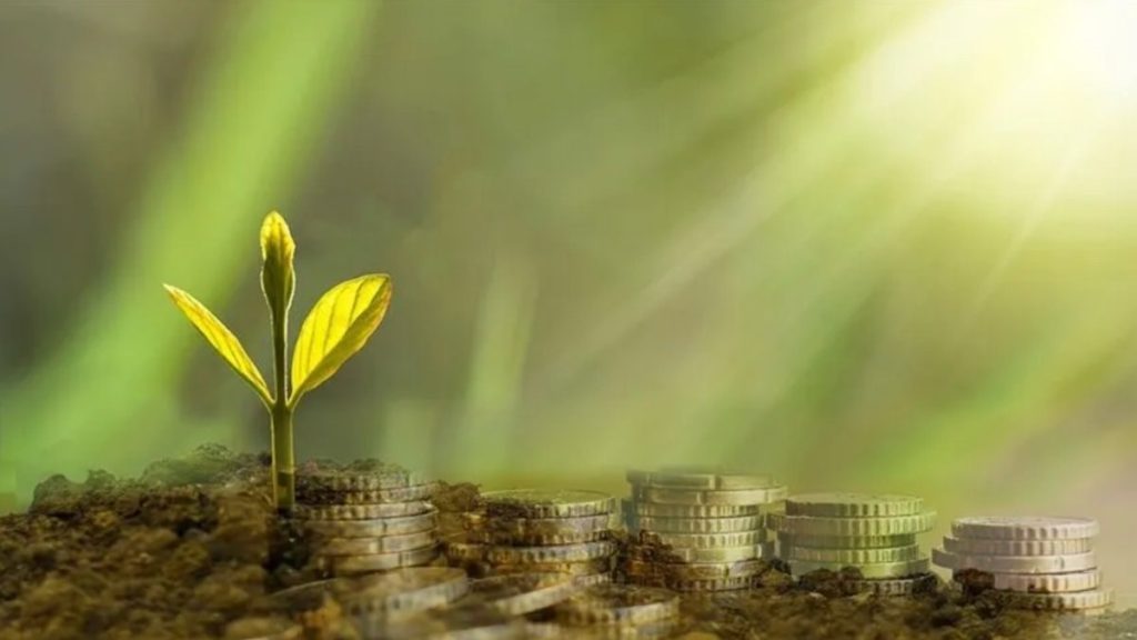 GEFF Türkiye, yeşil dönüşüm için 1 milyar euroluk dev yatırımı açıkladı