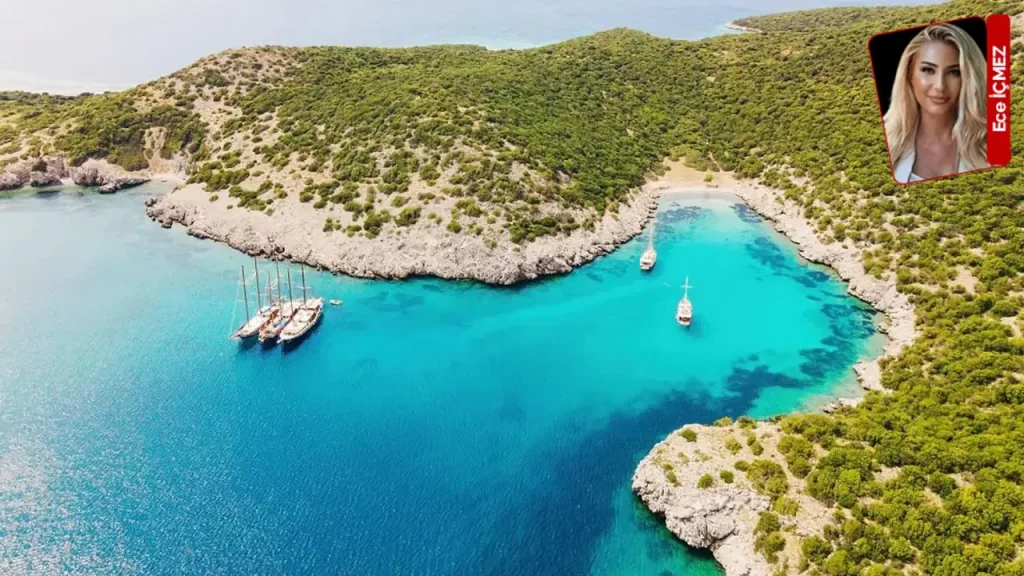 Kültür ve Turizm Bakanlığı’ndan yeni tahsis kararı: Listede orman arazileri de var