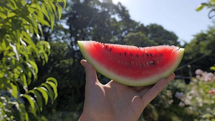Bıçak bile değdirmeden! Karpuz çekirdeklerini temizlemenin en pratik yolları