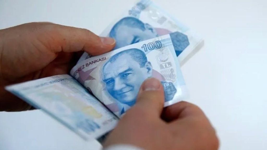 E-Devlet’te unutulan para sorgulaması başladı