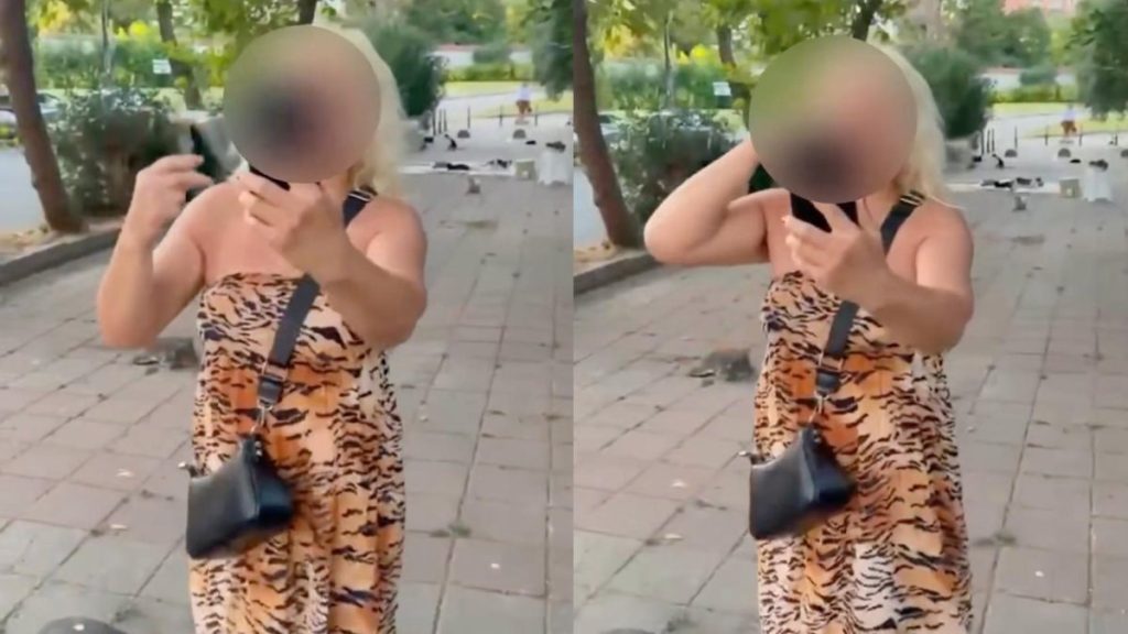 İstanbul’da kedi maması tartışması: Yolu kapatan kadın gözaltında