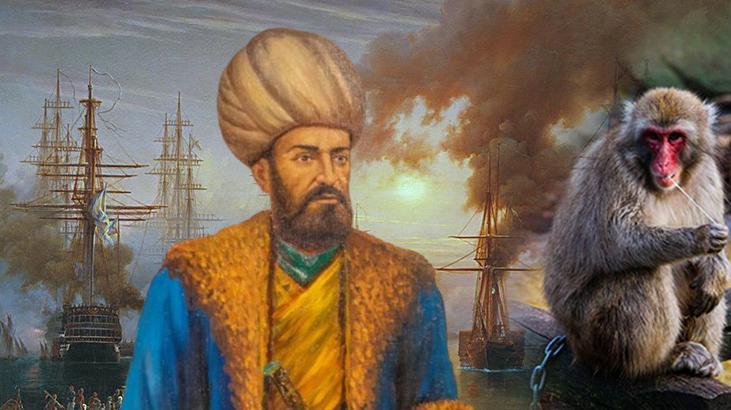 Osmanlı donanmasında ‘maymun gözcüler’ detayı! ‘Topa tutulmuş maymuna dönmek’ deyiminin öyküsü