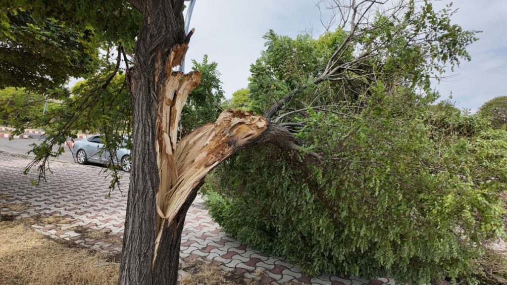 Van’da şiddetli fırtına hasara yol açtı
