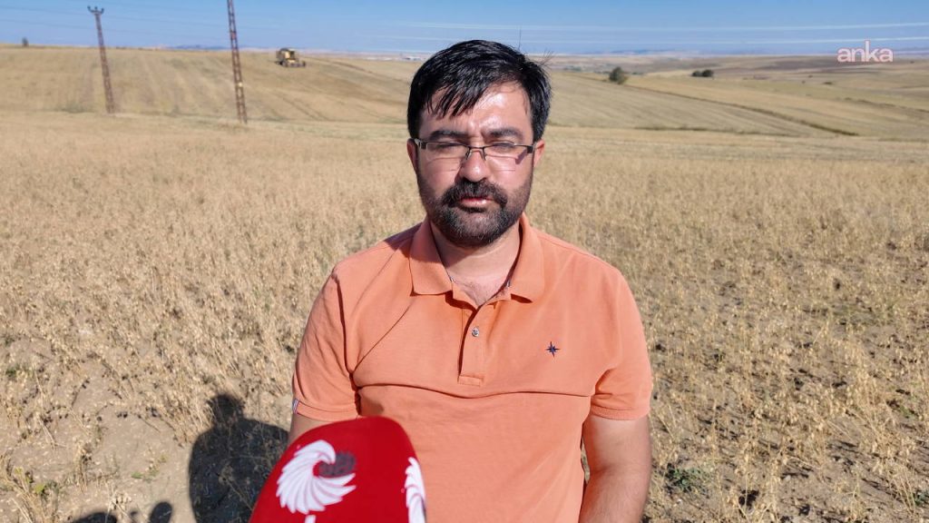 Yozgat’ta nohut hasadına başlayan üreteciler dert yandı: ‘Borcumu ödemek için traktörümü sattım’