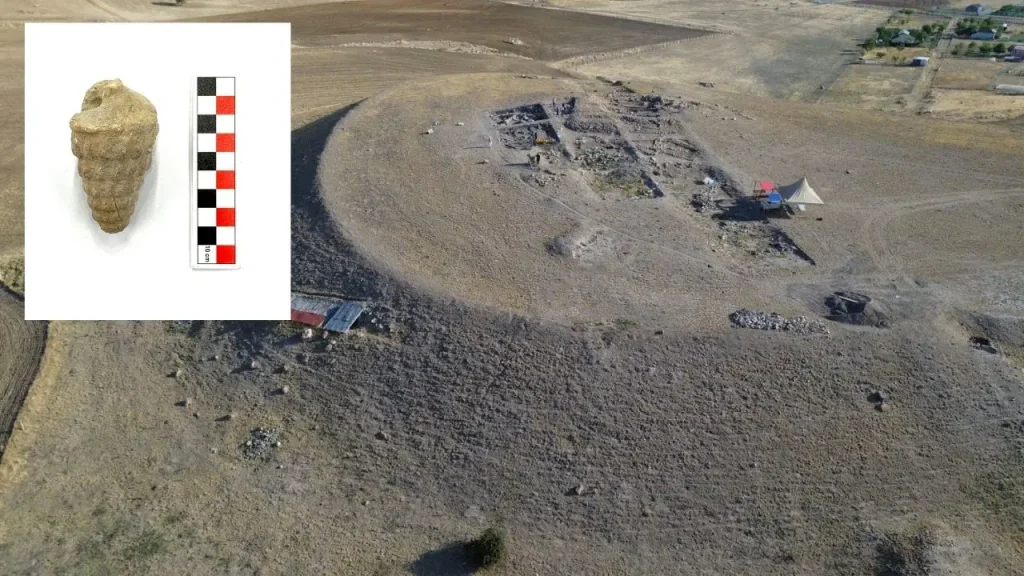 Ankara’da ezber bozan keşif: Külhöyük kazılarında 66 milyon yıllık deniz canlısı fosili bulundu