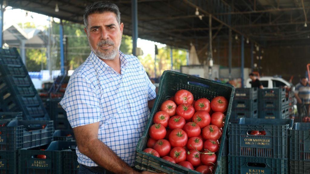 Antalya’da sebze ve meyve tarladan tezgaha iki katına çıkıyor